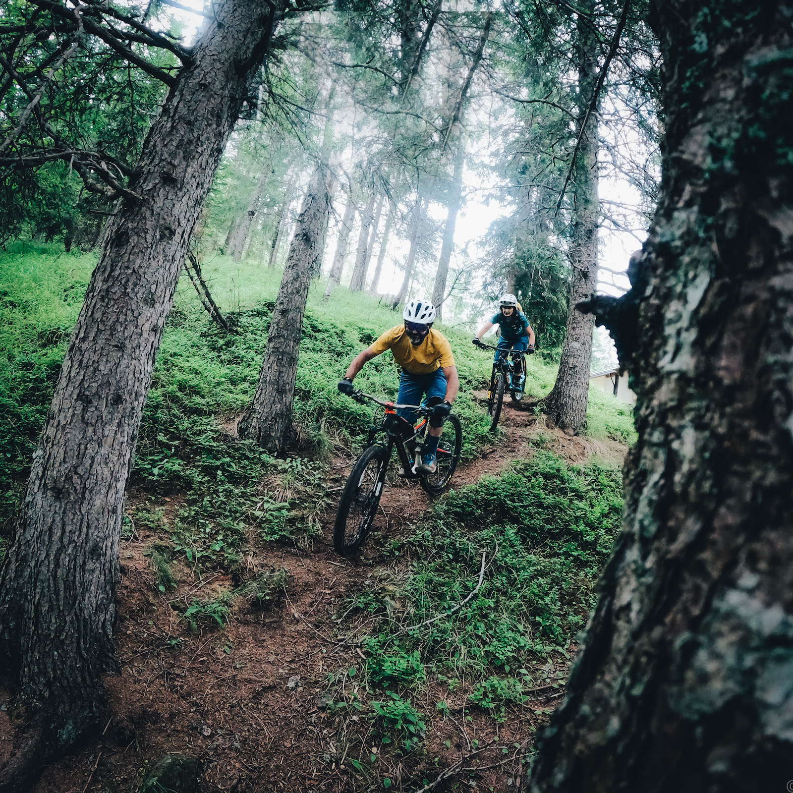 i migliori percorsi mtb in valtellina