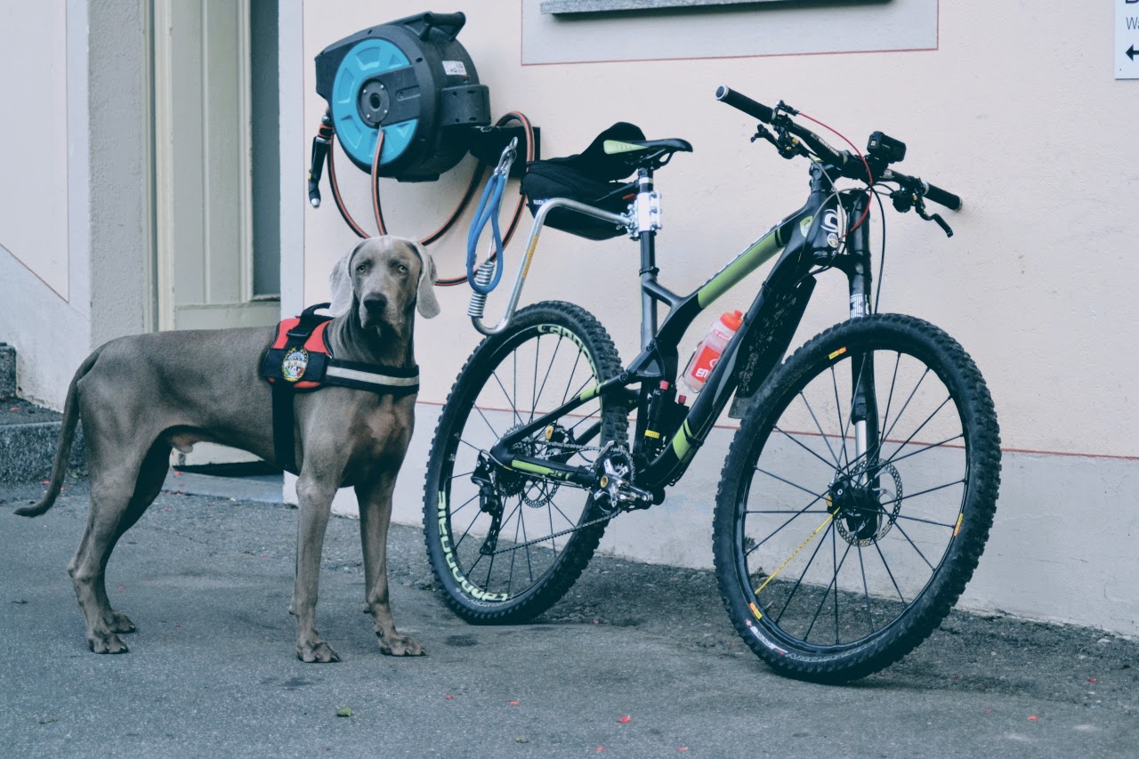 Il Dreilander MTB Tour con il mio cane, MTB adventures