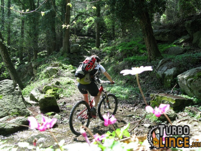 isola d’elba in mtb