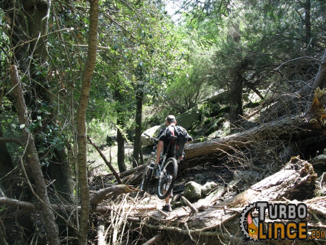 isola d’elba in mtb