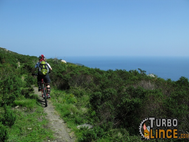 isola d’elba in mtb