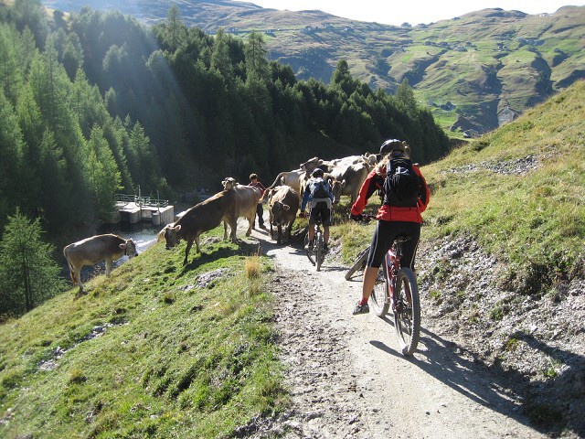 fotografie mountain bike livigno