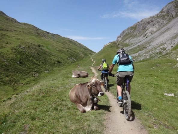 offerta livigno in mtb