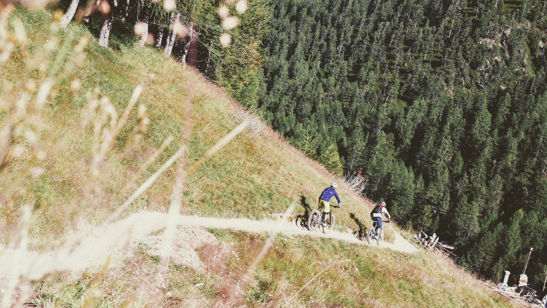 Livigno bormio mtb schiaccia marmotte